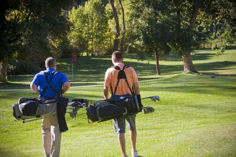 Dos masculino golfistas sobre el pintoresco el curso ellos bolsas.