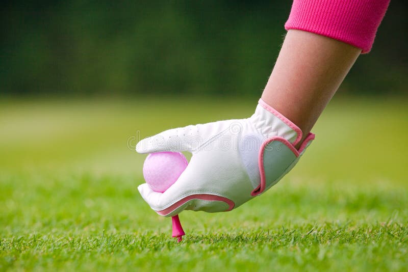 Golfeur de Madame plaçant la boule et la pièce en t roses dans le sol photos stock Golfeur de Madame plaçant la boule et la pièce en t roses dans le sol photos stock