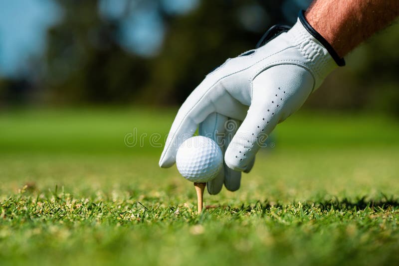 Main Tenir Une Balle De Golf Homme Golfeur Avec Gant De Golf Homme Golfeur  Jouant Au Golf Sur Un Terrain De Golf