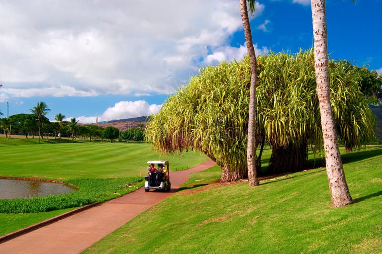 280 Oahu Golf Stock Photos Free & RoyaltyFree Stock Photos from