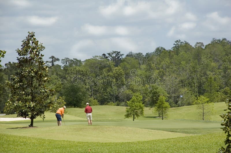 Golfers enjoy the hole at a luxury golf resort in Florida. Golfers enjoy the hole at a luxury golf resort in Florida.