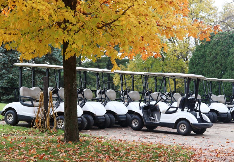 Fall landscape with golf cart parking spot under yellow colored maple tree. Fall landscape with golf cart parking spot under yellow colored maple tree