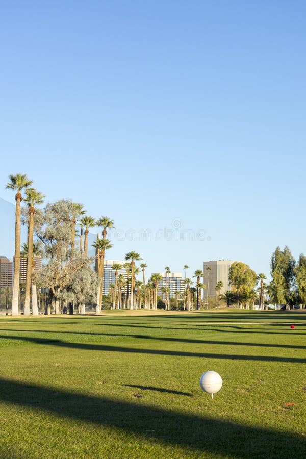 Golf course white balls spread all over grass in Encanto park, Phoenix downtown, Arizona in Winter. Golf course white balls spread all over grass in Encanto park, Phoenix downtown, Arizona in Winter.