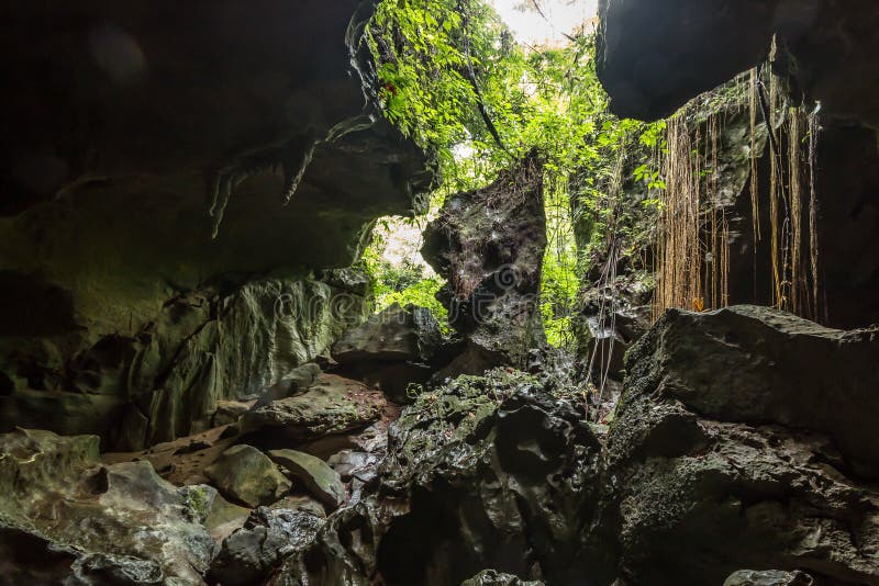 Golpee la cueva, una cueva de la piedra caliza cerca de Bukit Lawang en el parque nacional de Gunung Leuser, Sumatra, Indonesia imágenes de archivo libres de regalías Golpee la cueva, una cueva de la piedra caliza cerca de Bukit Lawang en el parque nacional de Gunung Leuser, Sumatra, Indonesia imágenes de archivo libres de regalías