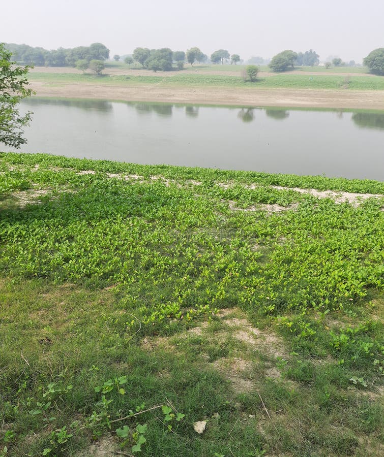 Gomti river bank in India stock images Gomti river bank in India stock images