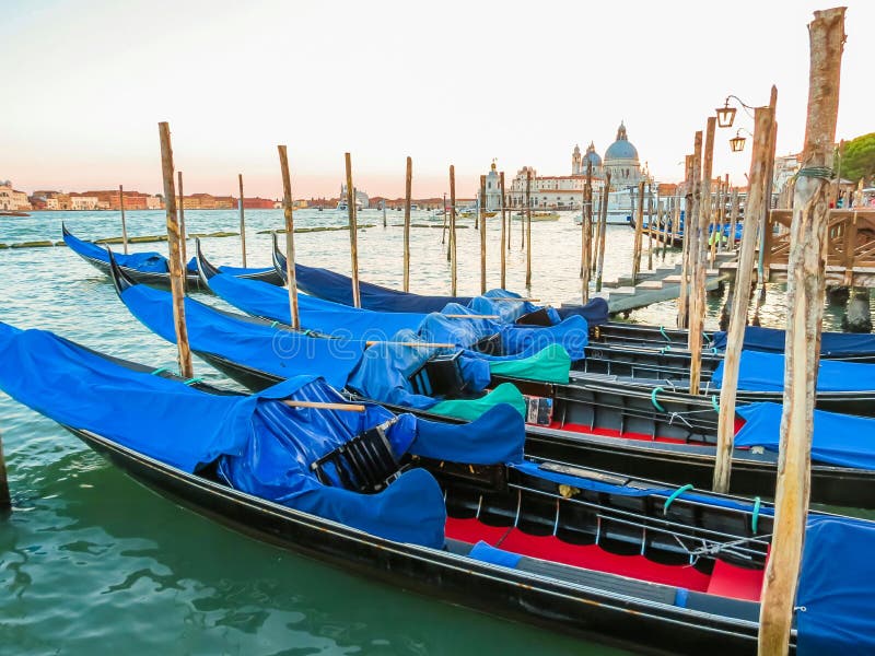 Gondolas moored in the Venetian lagoon stock images Gondolas moored in the Venetian lagoon stock images