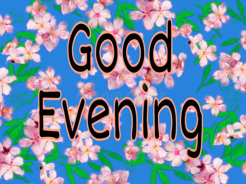 Good Evening Text Images with Blue Background Pink and Green Leaves ...