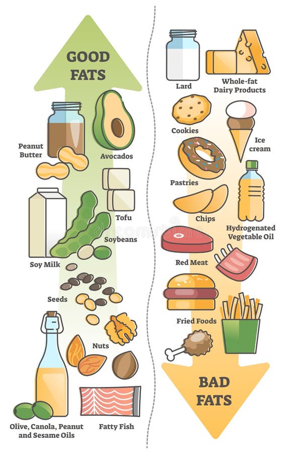 Good Fats Vs Bad Food for Healthy Diet and Nutritious Meal Outline ...