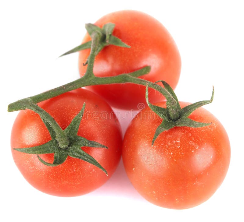 Good looking tomatoes