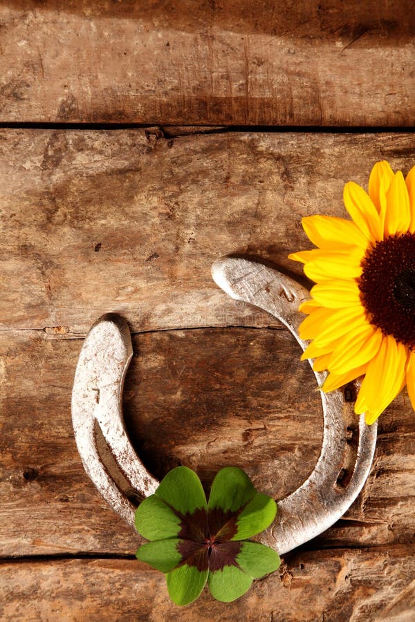 Good Luck horseshoe, green Irish shamrock and fresh bright yellow sunflower lying on an old vintage rustic wood background with copyspace, overhead view. Good Luck horseshoe, green Irish shamrock and fresh bright yellow sunflower lying on an old vintage rustic wood background with copyspace, overhead view