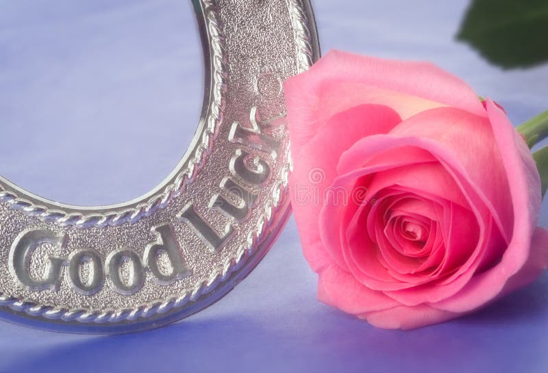 Good Luck Wedding Horseshoe and Pink Rose Stock Photo Image of