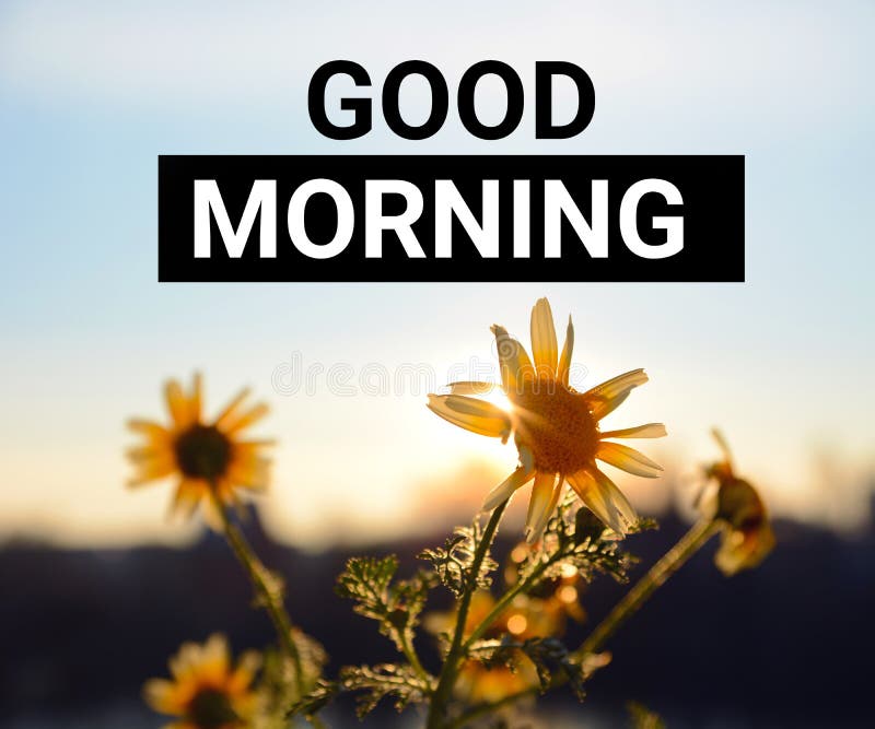 Good Morning Title on a Sunrise Background with Yellow Flowers and Sun ...