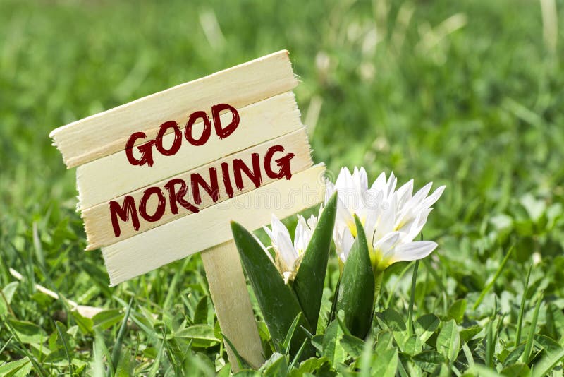 122,026 Good Morning Stock Photos - Free & Royalty-Free Stock Photos from Dreamstime 122,026 Good Morning Stock Photos - Free & Royalty-Free Stock Photos from Dreamstime