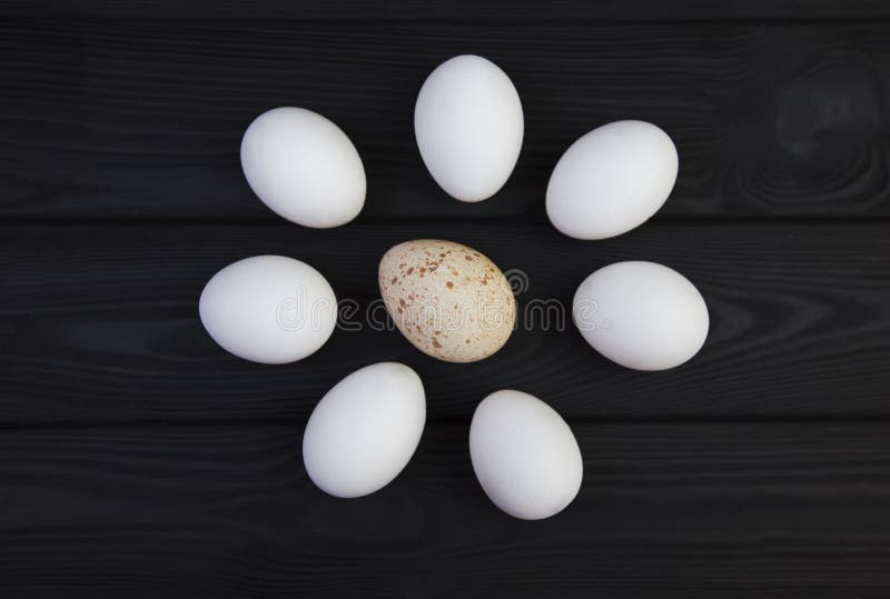 Goose Egg And Chicken Eggs On A Black Wooden Background. The Difference