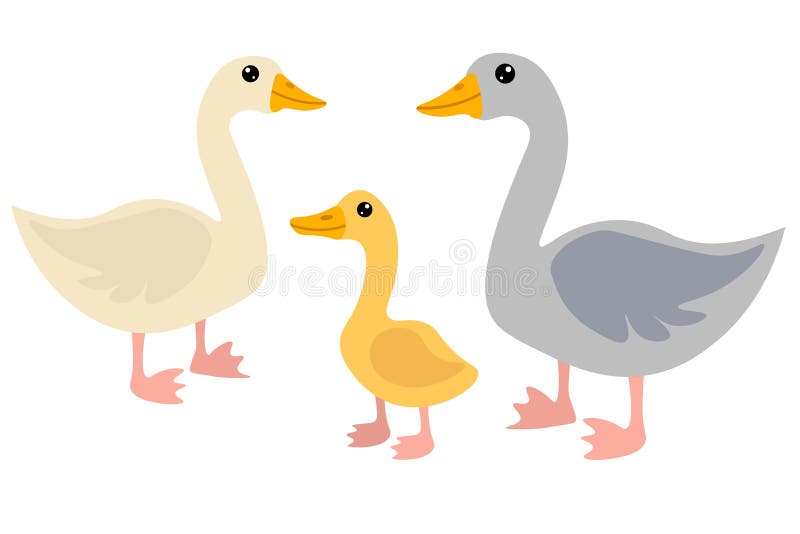 Cute cartoon goose family in flat style isolated on white background. Mother, father and baby of birds. Farm animals. Vector illustration