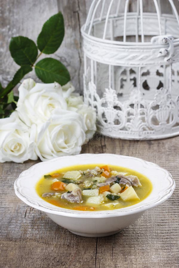 Goose soup stock images