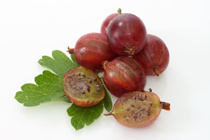 Gooseberry imagem de stock. Imagem de pulpy, sour, dieta 10845409