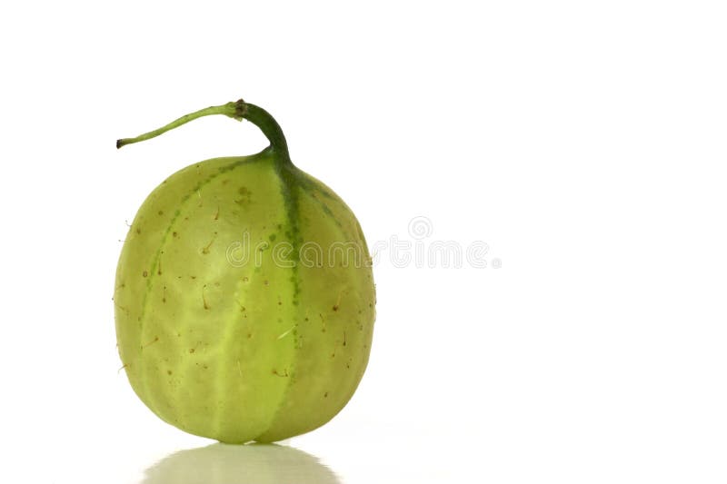 Gooseberry