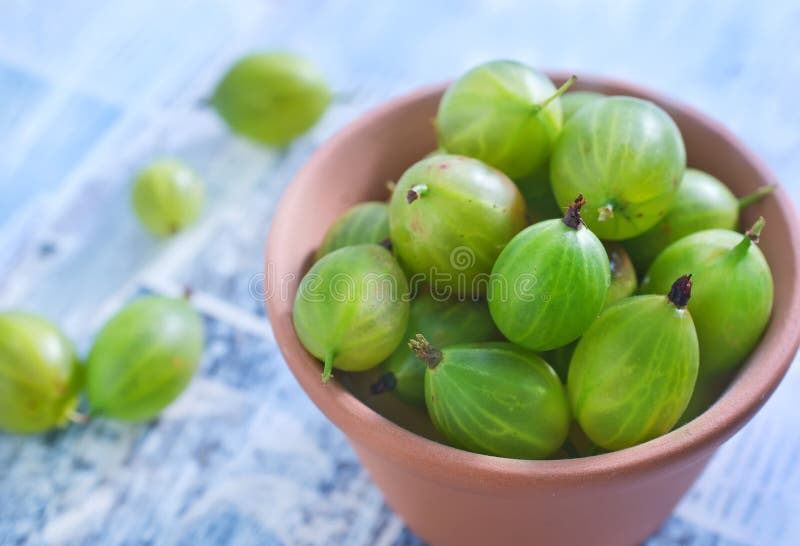 gooseberry fotos de stock royalty free gooseberry fotos de stock royalty free