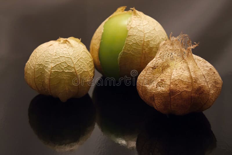 gooseberry fotografia de stock royalty free gooseberry fotografia de stock royalty free