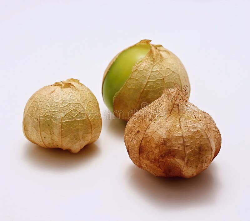 gooseberry fotos de stock royalty free gooseberry fotos de stock royalty free