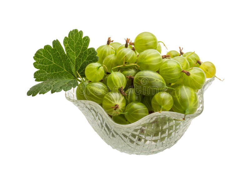 gooseberry foto de stock royalty free gooseberry foto de stock royalty free