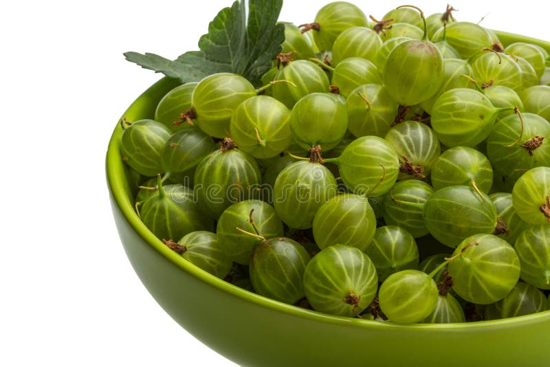 gooseberry imagem de stock gooseberry imagem de stock