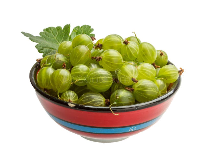 gooseberry foto de stock royalty free gooseberry foto de stock royalty free