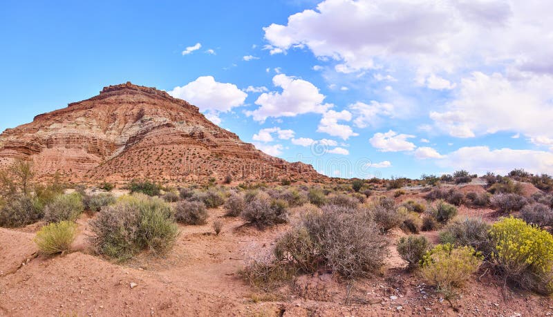 Gooseberry mesa красный рок пустыня панорама eyelevel перспективы. погреться в красоте gooseberry mesa в штате юта с его возвышающимися красными скальными образованиями, бурной пустынной растительностью и обширным голубым небом. идеально подходит для захвата дух приключений и спокойствия.