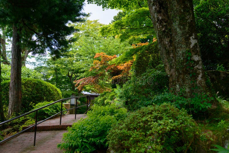 Gora Park in Hakone, Kanagawa, Japan