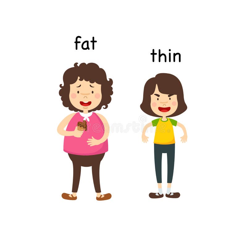 Opposite fat and thin vector illustration. Opposite fat and thin vector illustration