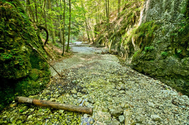 Gorge of Slovak Paradise