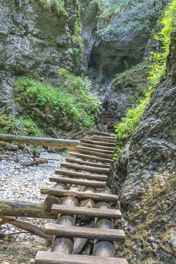 Gorge of Sucha Bela in Slovak Paradise, Slovakia