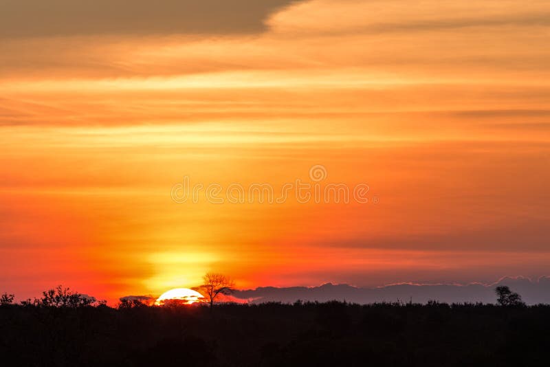 Gorgeous African Sunset