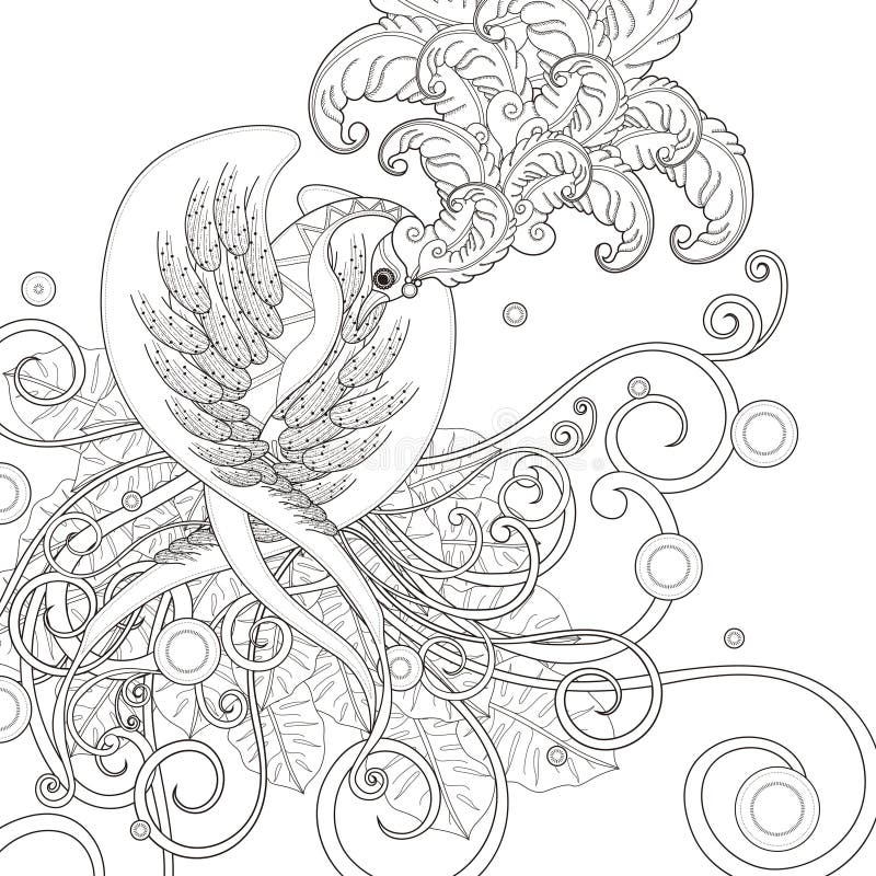 Gorgeous bird coloring page