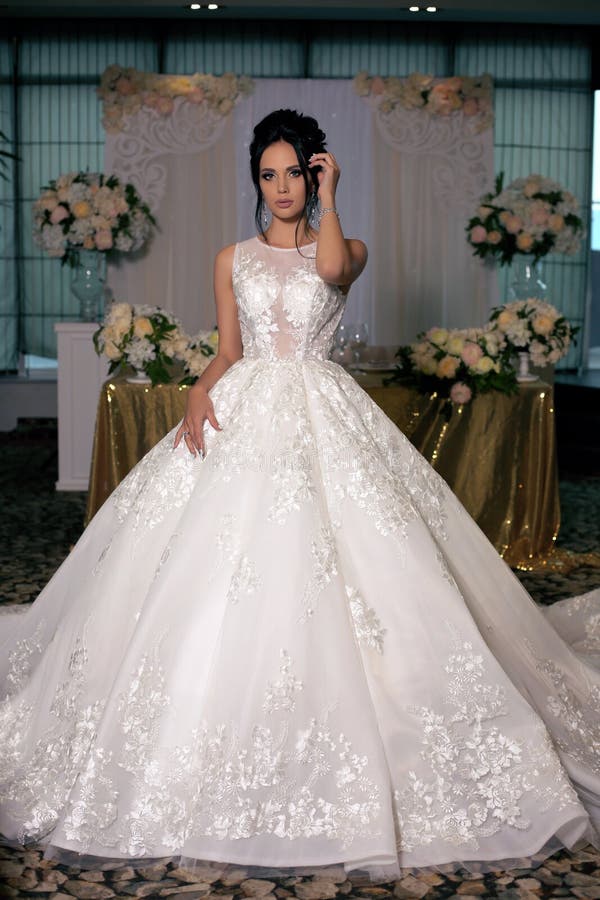 Gorgeous Bride with Dark Hair in Luxurious Wedding Dress and ...