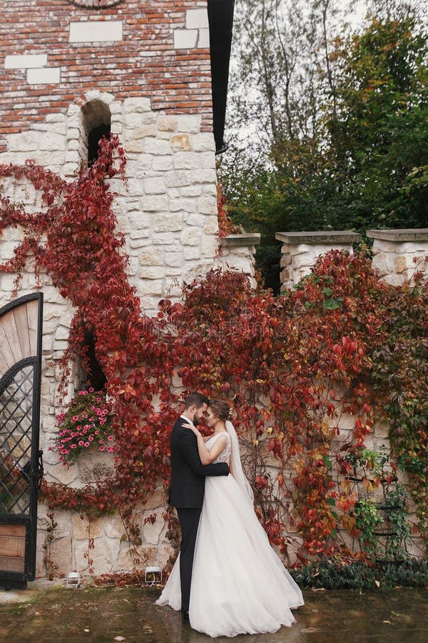 Gorgeous bride and stylish groom gently hugging and smiling at royalty free stock image Gorgeous bride and stylish groom gently hugging and smiling at royalty free stock image