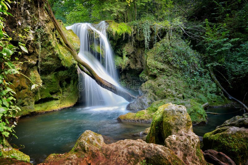 Gorgeous Cascade  In The Jungle  Stock Image Image of 