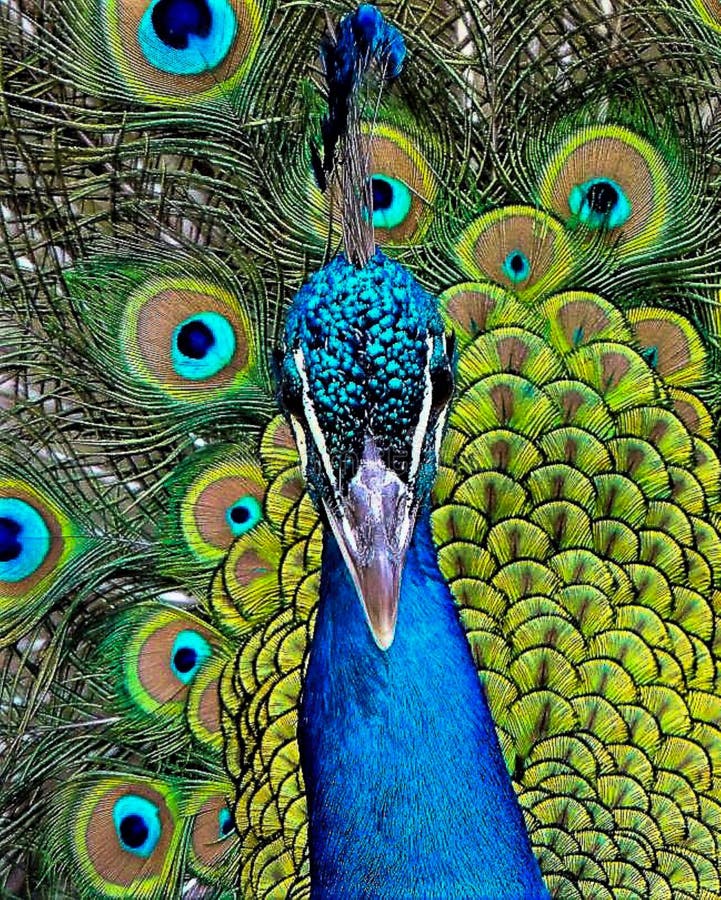My Image 29