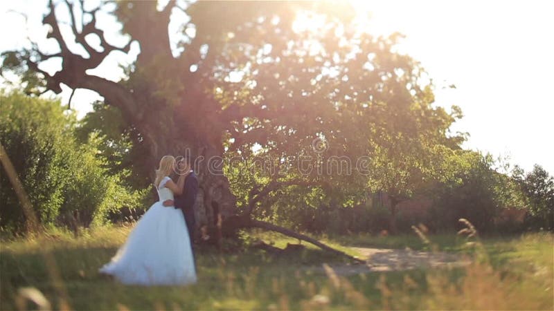 Gorgeous elegant happy bride and stylish groom kissing on the background of beautiful sunset in the forest
