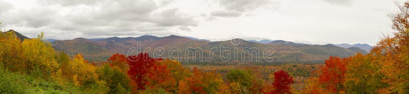 Gorgeous Fall Colors