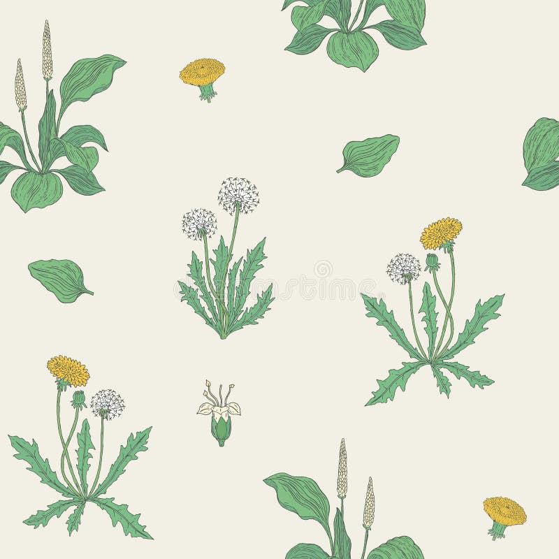 Gorgeous Natural Seamless Pattern with Flowering Herbaceous Plants ...