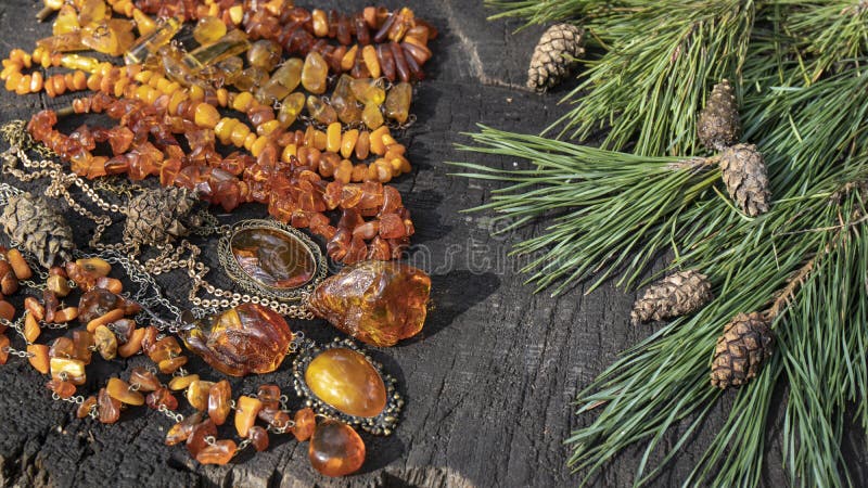 Baltic Amber Yellow Tree Branch Necklace Baltic Amber Yellow Tree Branch Necklace
