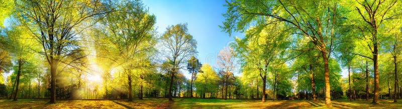 Nature Scenery scenery nature HD wallpaper Peakpx
