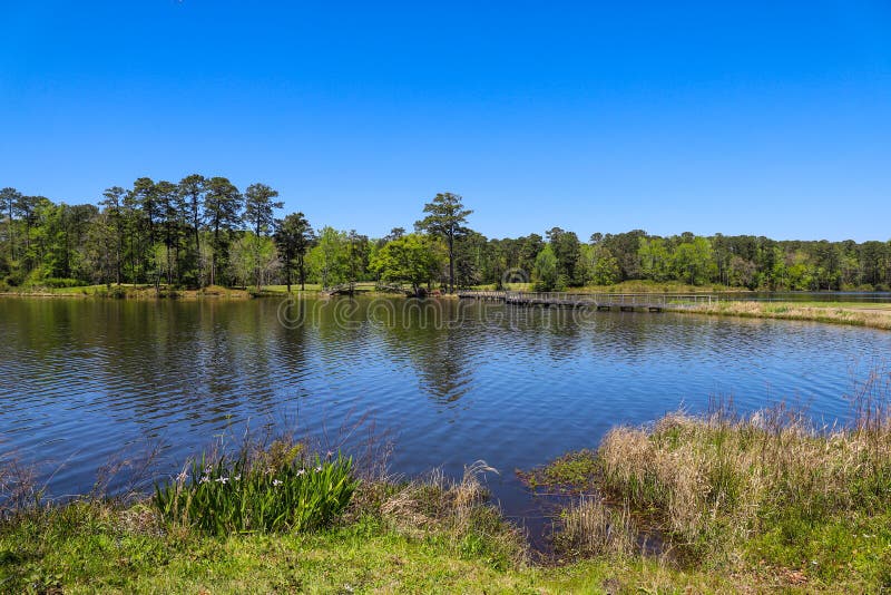 A gorgeous rippling blue lake with a brown wooden bridge over the water surrounded by lush green trees, grass and plants