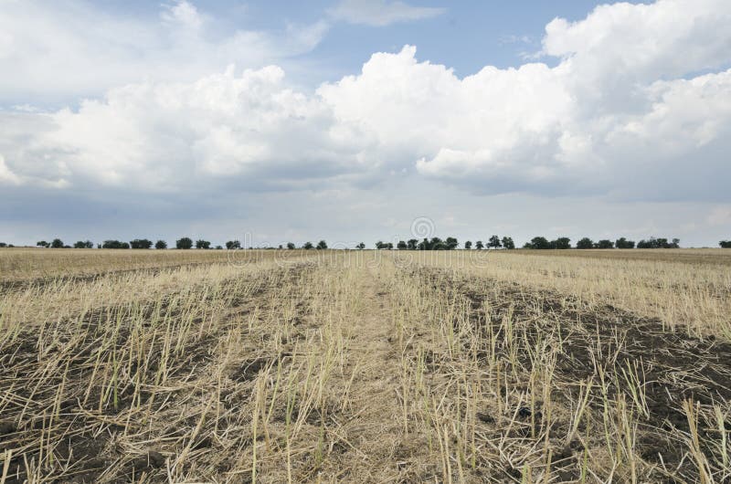 Gorgeous rural landscape.Sunny day i the field after harvest stock photo Gorgeous rural landscape.Sunny day i the field after harvest stock photo