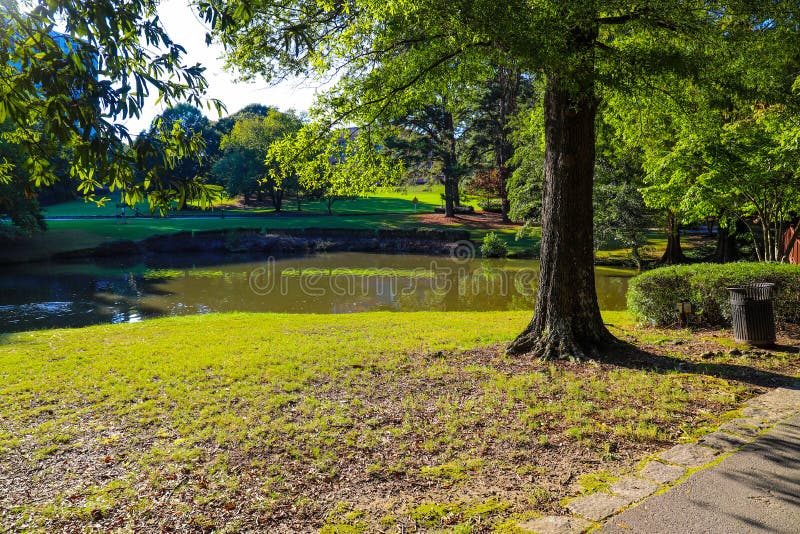 270 imagens, fotos stock, objetos 3D e vetores de Brookhaven