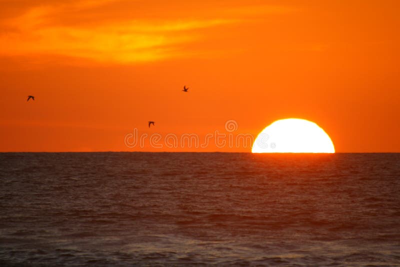 Gorgeous Sunset at Piha in Auckland New Zealand