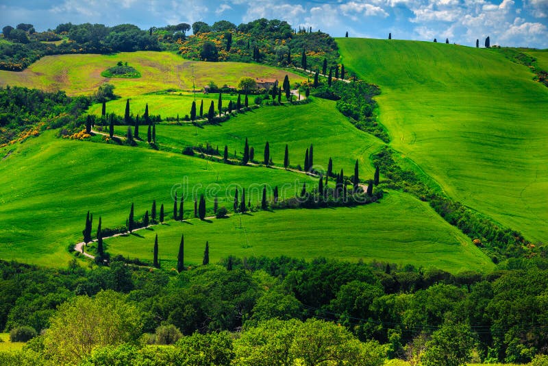 Gorgeous winding rural road with cypresses in Tuscany, Italy, Europe royalty free stock image Gorgeous winding rural road with cypresses in Tuscany, Italy, Europe royalty free stock image