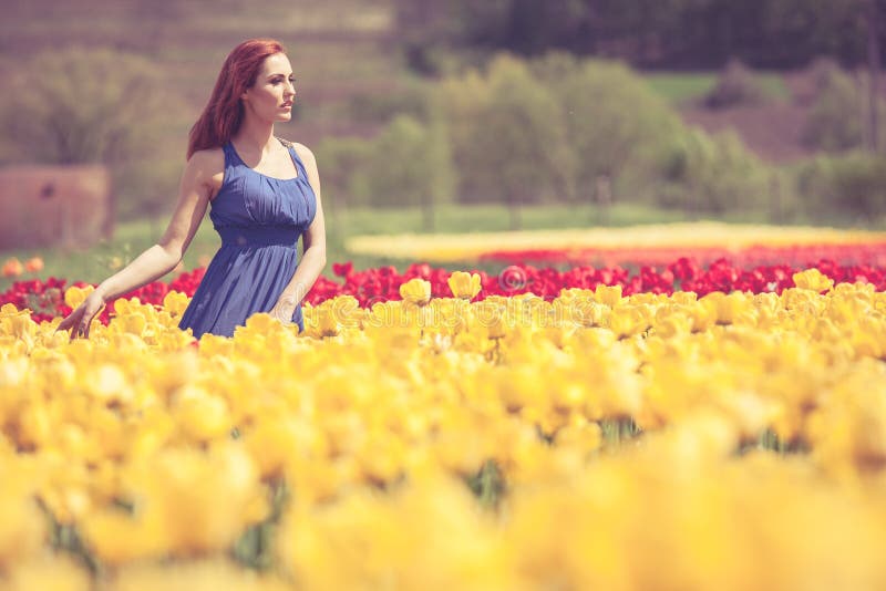 Gorgeous Woman in Blue Dress in Flower Field in Sunny Day Stock Image